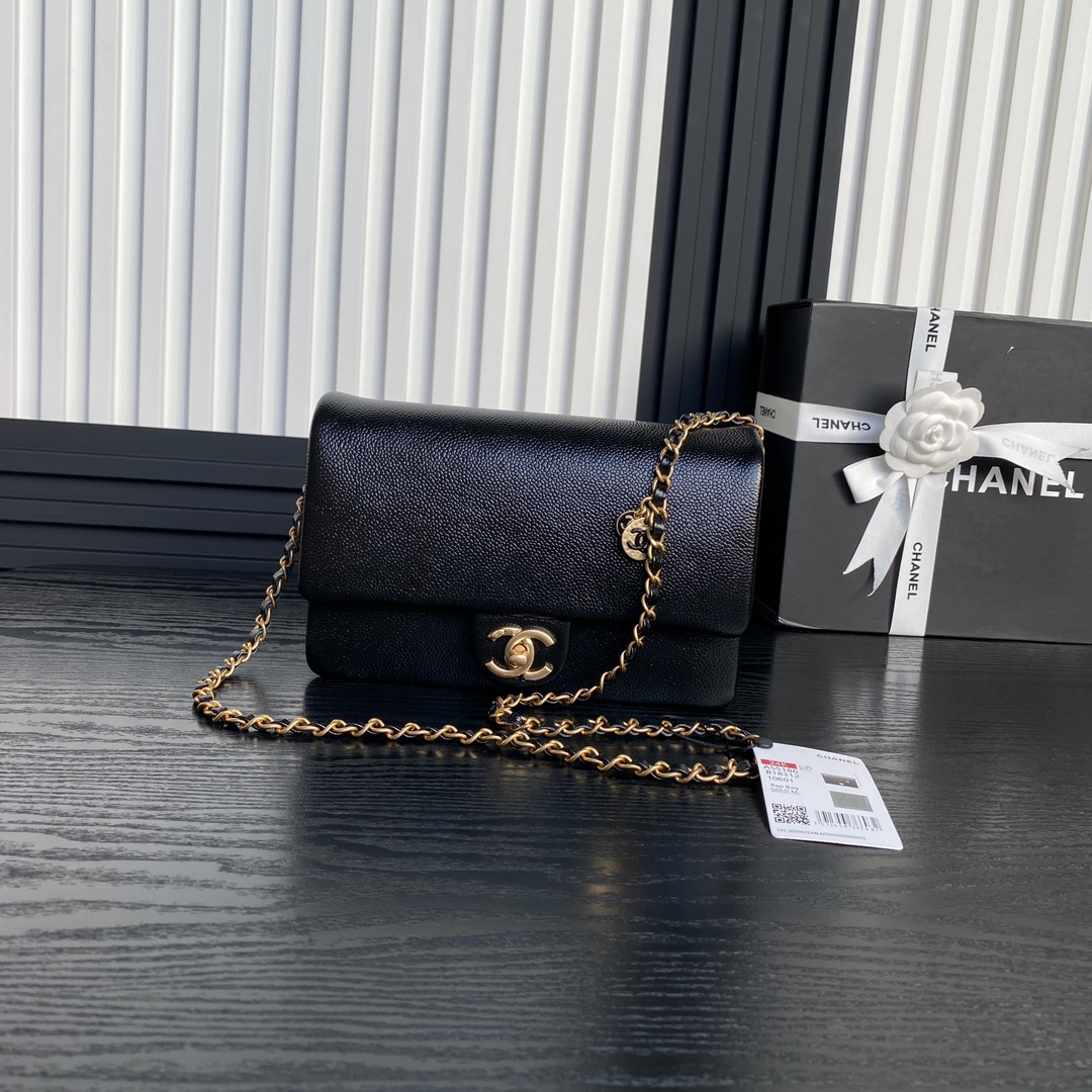 Chanel 24k CF Medieval New Handbag Black