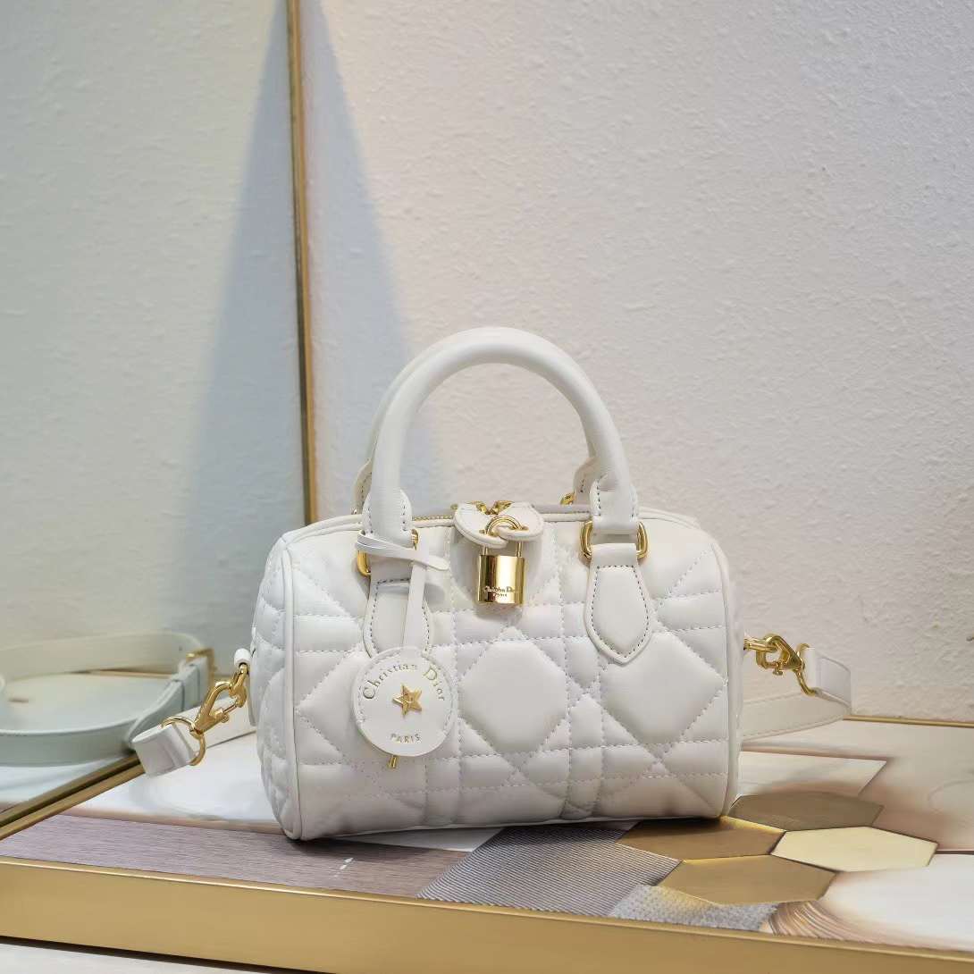 Replica Dior Handbags Groove 25 white Cololr